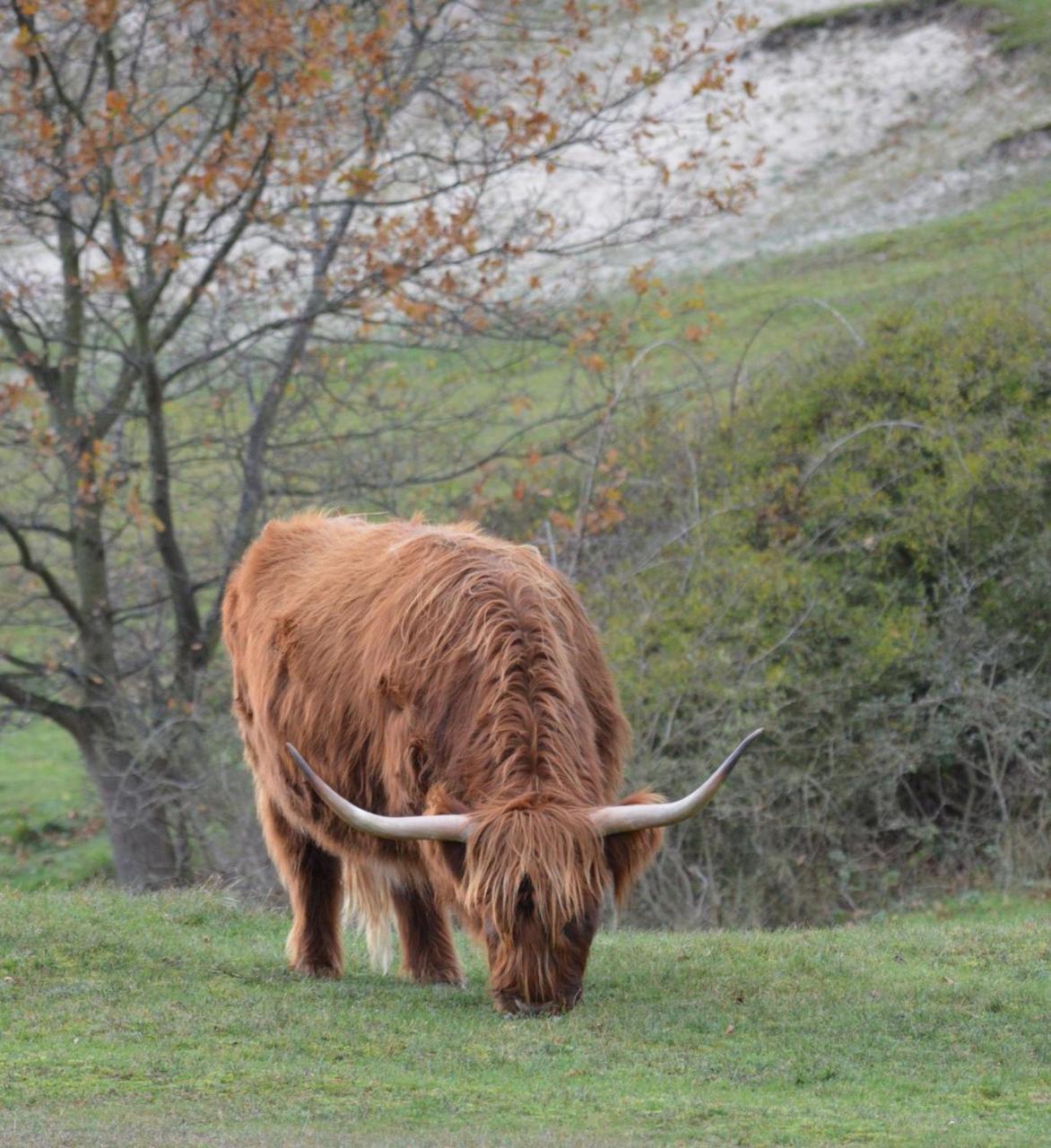 T Laege Uus Panzió Burgh Haamstede Kültér fotó
